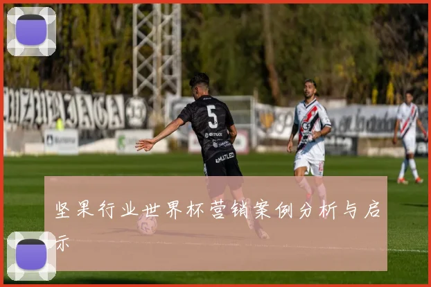 坚果行业世界杯营销案例分析与启示