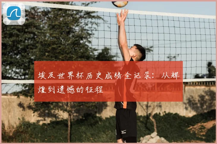 埃及世界杯历史成绩全记录：从辉煌到遗憾的征程